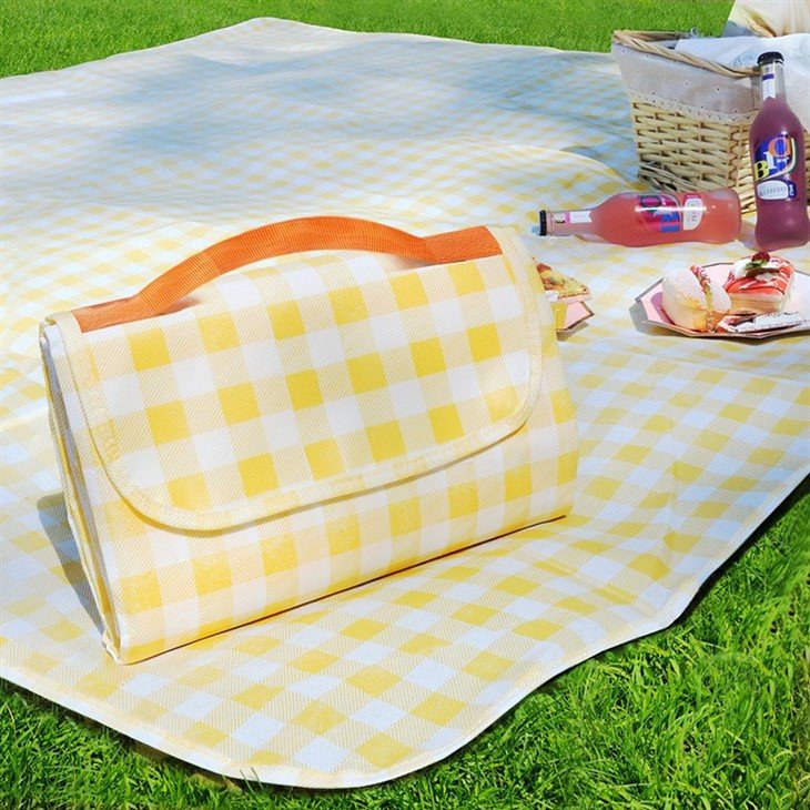 new design picnic blanket