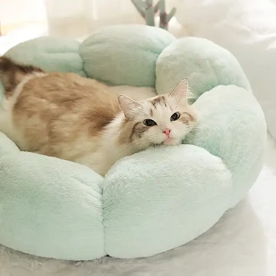 Super Soft Pet Cushion